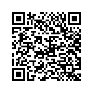 WhatsApp QR Code